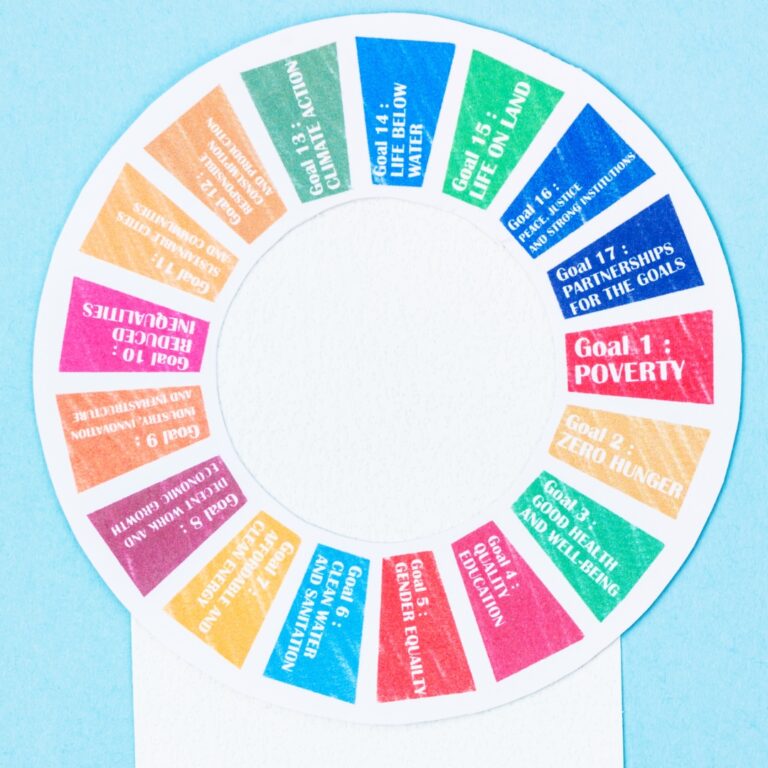 The Contribution of Islamic Finance to the Sustainable Development Goals